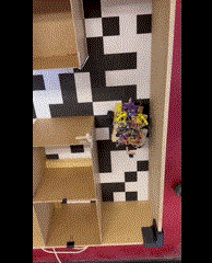 Maze run demonstration